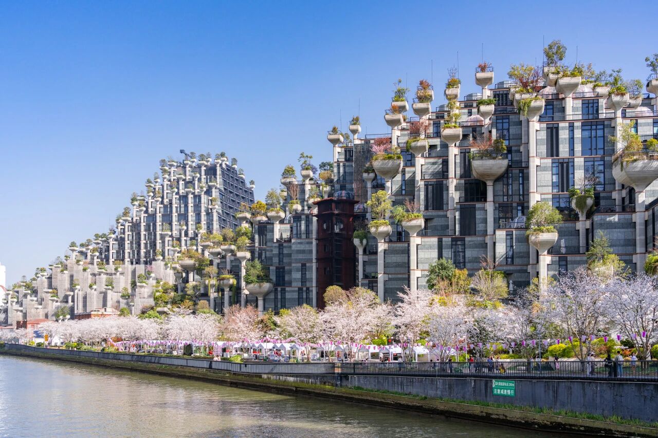 Walk beside a building that grows trees